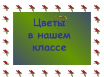 ПРезентация Цветы в нашем классе