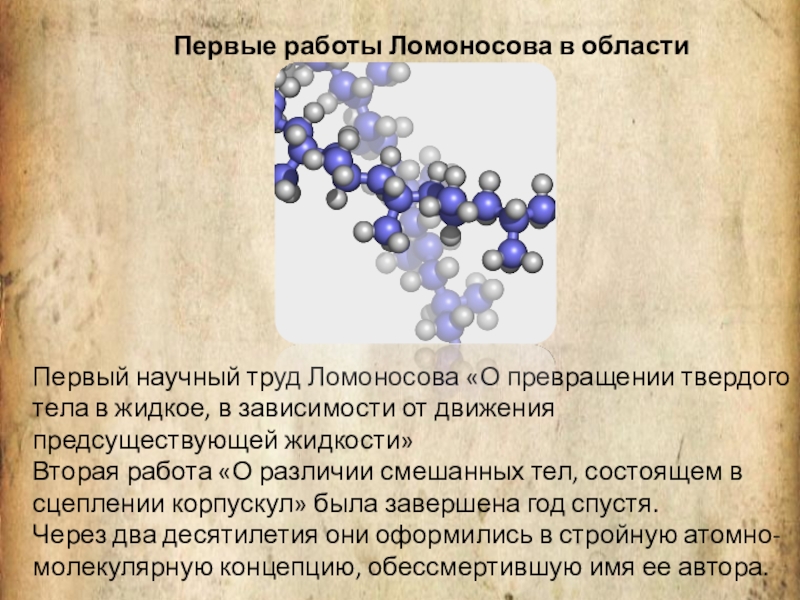 Корпускулы ломоносов