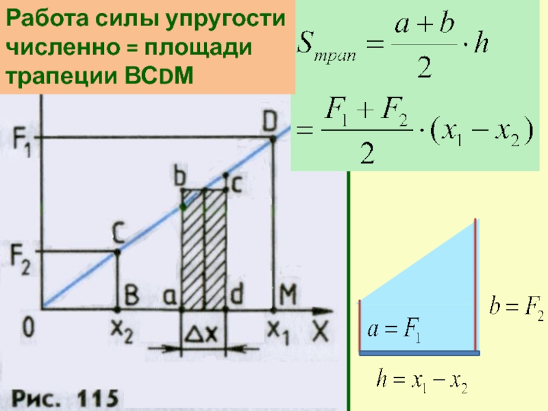 Самостоятельная работа сила упругости