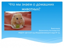 Что мы знаем о домашних животных.