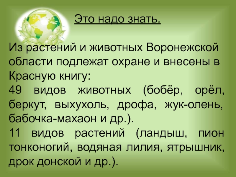 Растительный и животный мир воронежской области презентация