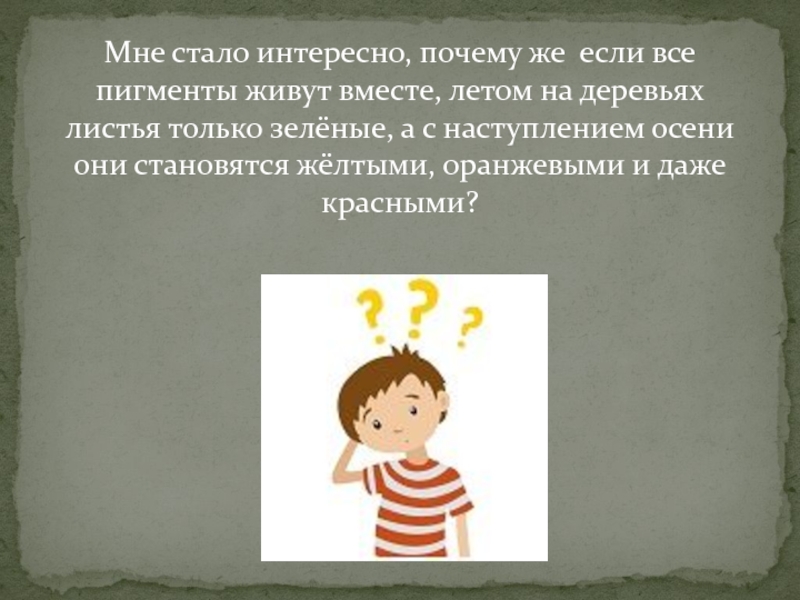 Мне стало интересно, почему же если все пигменты живут вместе, летом на деревьях листья только зелёные, а