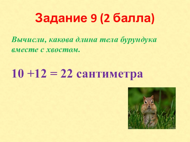 Задание 9 (2 балла)Вычисли, какова длина тела бурундука вместе с хвостом. 10 +12 = 22 сантиметра