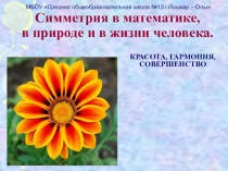 Проект по математике на тему: Симметрия в математике, в природе и в жизни человека (5 класс)