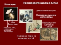 Презентация по истории на тему Властелин единого Китая (5 класс)