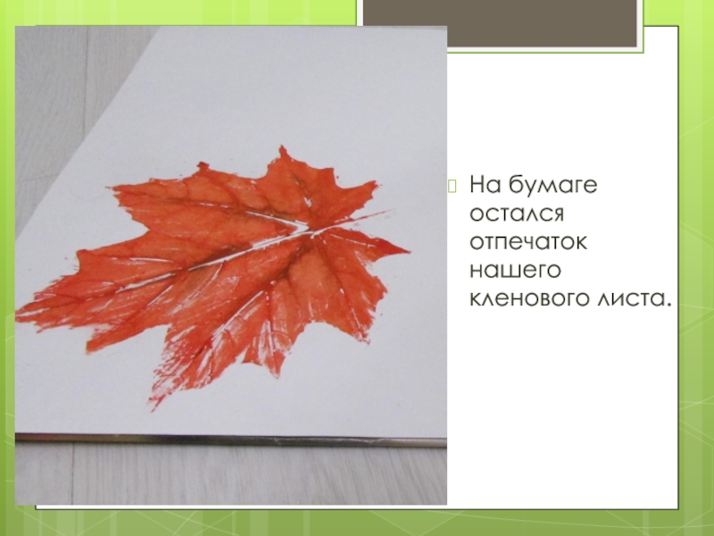 На бумаге остаться. Отпечаток кленового листа на бумаге. Кленовый лист нетрадиционная техника. Лист клена отпечатавшийся на бумаге. Нетрадиционная техника рисования кленового листа.