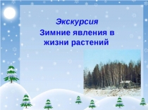 Зимние явления в природе 6 класс