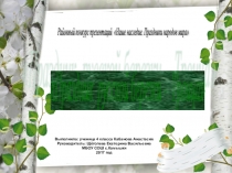 Презентация по орксэ на тему Праздник русской берёзки-Троица