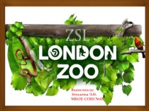 Презентация по английскому языку на тему London zoo