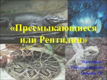 Презентация по биологии на тему Пресмыкающиеся