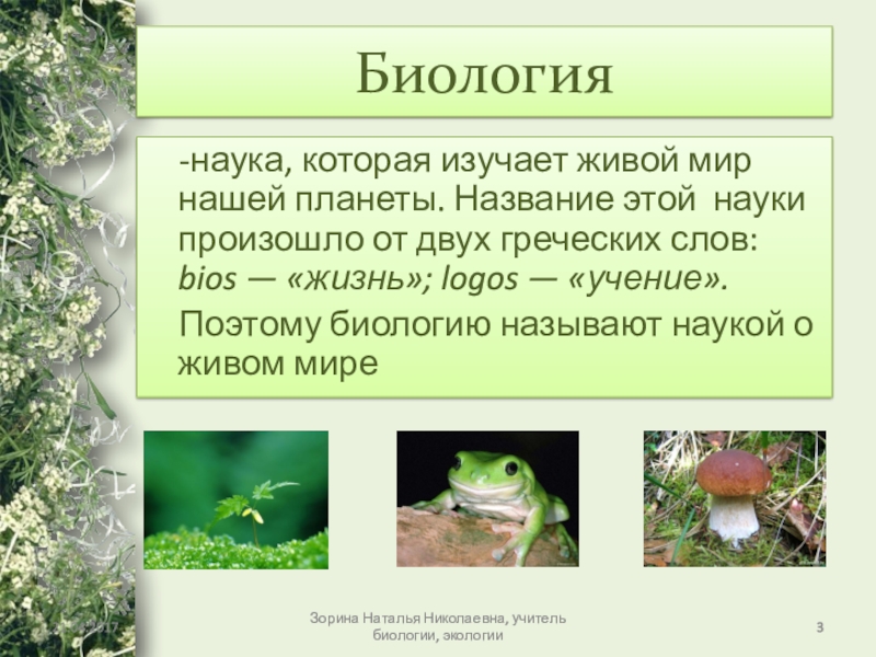 Какая область биологии изучает растения. Науки биологии. Биология это наука которая изучает живые. Биология презентация.