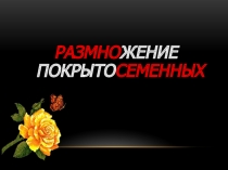 Презентация по теме: Размножение цветковых растений