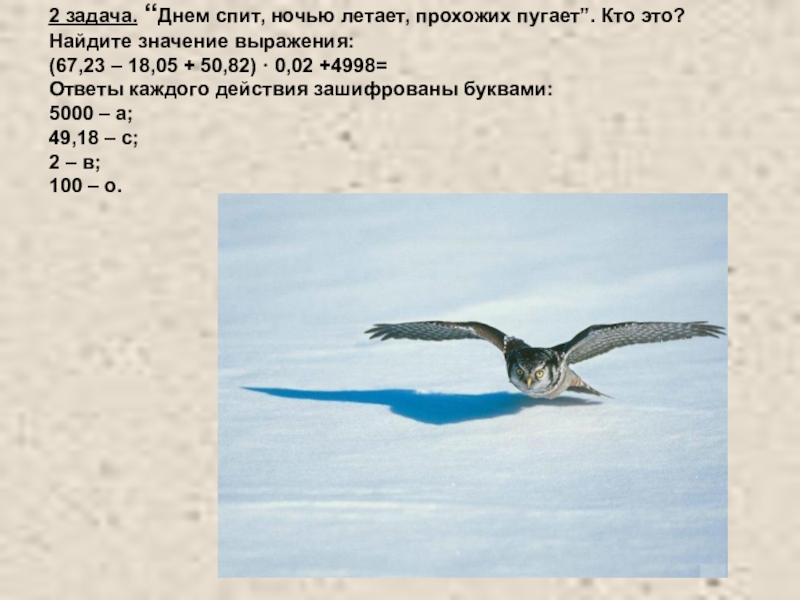 Спит вода спит рыба спят птицы и только совы летают у костра схема