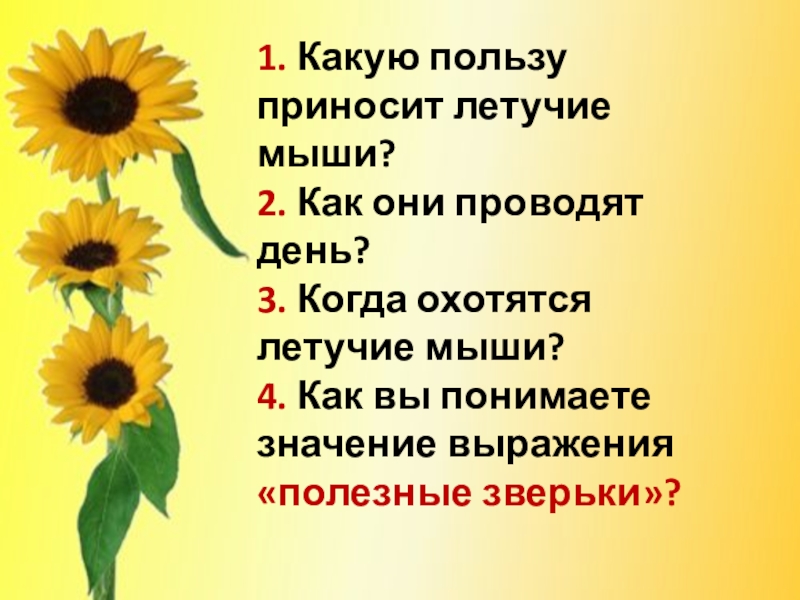 1. Какую пользу приносит летучие мыши? 2. Как они проводят день? 3. Когда охотятся летучие мыши? 4.