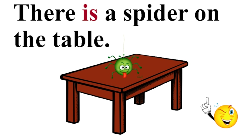 There is a spider on the table.
