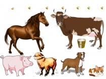 Презентация к уроку обучения грамоте на тему Буква И, звук [ и]