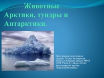 Презентация по окружающему миру на тему Животные Арктики и Антарктики