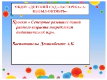 Презентация Сенсорное развитие детей раннего возраста посредством дидактических игр