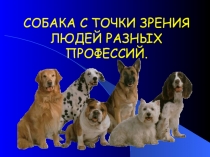 Презентация по биологии на тему Собака с точки зрения людей разных профессий