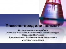 Презентация исследовательской работы на тему: Плесень-вред или польза