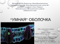 Презентация научно исследовательская работе по биологии Умная оболочка