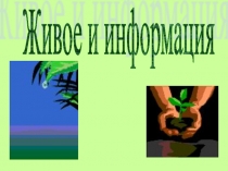 Презентация к уроку: Информационный процессы в живых системах