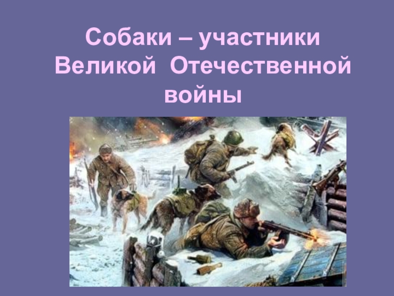Презентация Собаки - участники Великой Отечественной войны