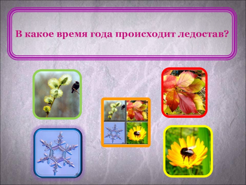 В какое время года происходят события. Какое время года. Время викторины. Ледостав в какое время года бывает. Какое время года наступило.