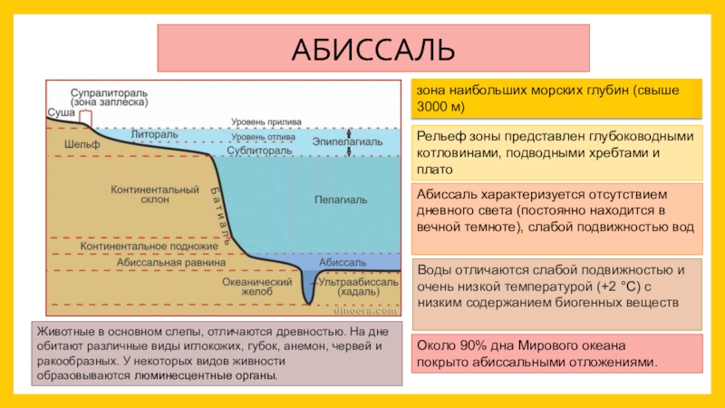 Схема глубинных зон океана 5 класс география