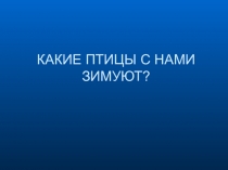 Презентация по ознакомлению с природой Какие птицы зимуют с нами