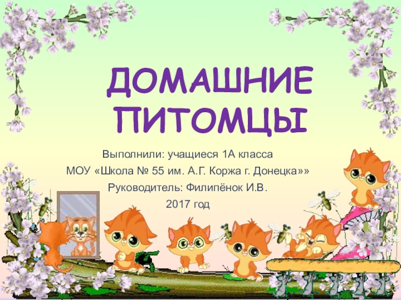 Презентация Проект  Домашние питомцы
