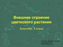Презентация по внешнее строение цветкового растения