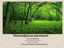 Многообразие растений