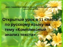 Презентация к уроку русского языка в 11 классе по теме Комплексный анализ текста