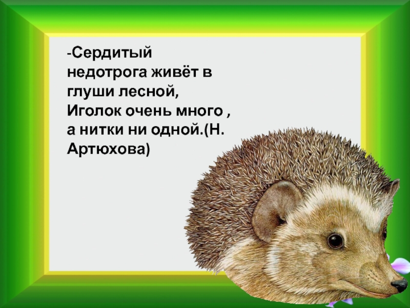 Составление рассказа по картине ежи в старшей группе