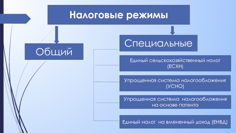 Специальные налоговые режимы презентация