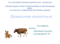Презентация к уроку ориентировка в окружающем мире Домашние животные