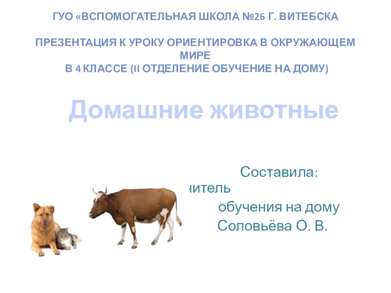 Презентация Презентация к уроку ориентировка в окружающем мире Домашние животные