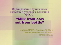 Презентация по английскому языку на тему Формирование аудитивных навыков в условиях введения ФГОС (3 класс)
