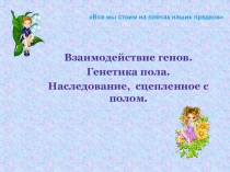 Презентация Действие генов. Генетика пола