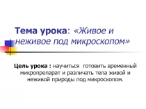 Презентация урока по теме:  Живое и не живое