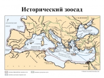 Презентация по истории древнего мира Исторический зоосад (5 класс)