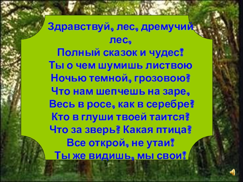 План леса. Здравствуй лес. Жизнь леса 4 класс сочинение. Сочинение лес полон чудес. Здравствуй лес дремучий лес Автор.