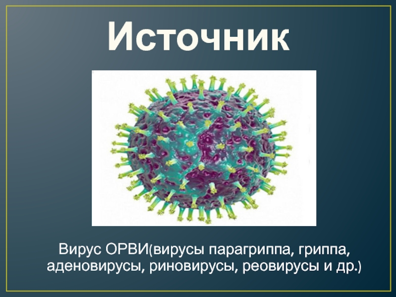 Реферат: Вирусы гриппа и парагриппа