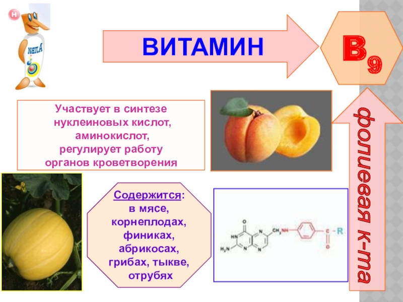 Презентация по биологии 8 класс витамины и их роль в организме человека