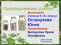 ПРЕЗЕНТАЦИЯ К ПРОЕКТУ СЕМЕНА