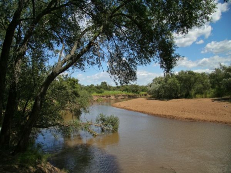 Презентация ханкайский заповедник приморского края