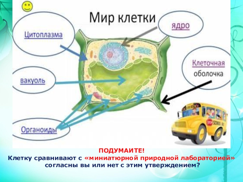 Сравнение клетки с городом. Почему клетку сравнивают с миниатюрной природной лабораторией. Сравнение клеток растений и животных таблица. Клетка открытая система доказательства. Почему клетку сравнивают.