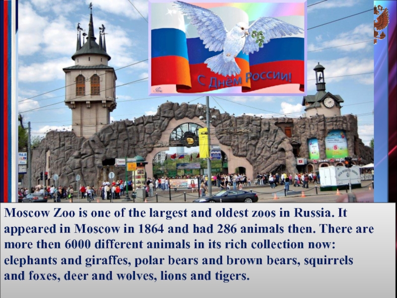 Moscow Zoo is one of the largest and oldest zoos in Russia. It appeared in Moscow in