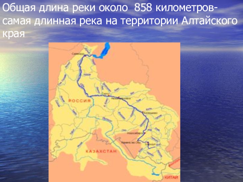 Длина реки д. Река алей протяженность. Самая длинная река в Москве. Длина реки это. Какова Суммарная протяженность рек.